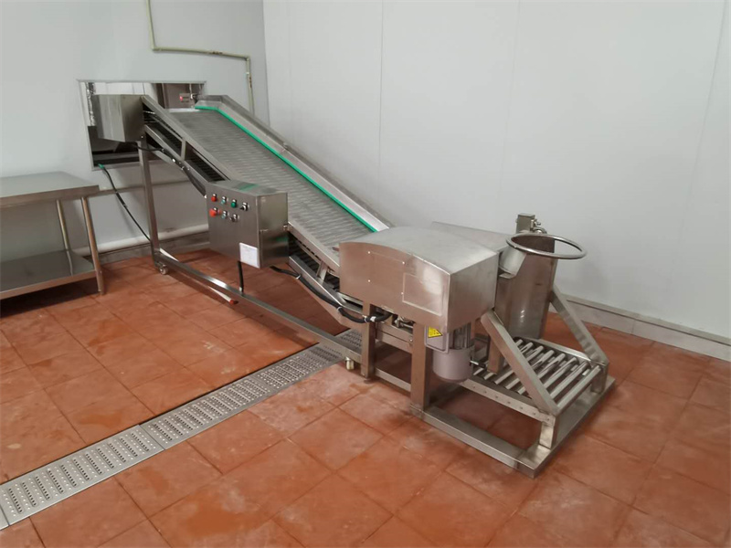 果蔬漂燙線中的提升機