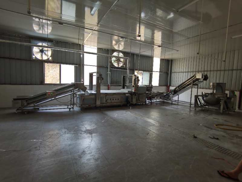 果蔬漂燙線中的提升機