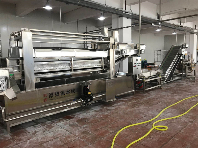 果蔬漂燙線中的提升機