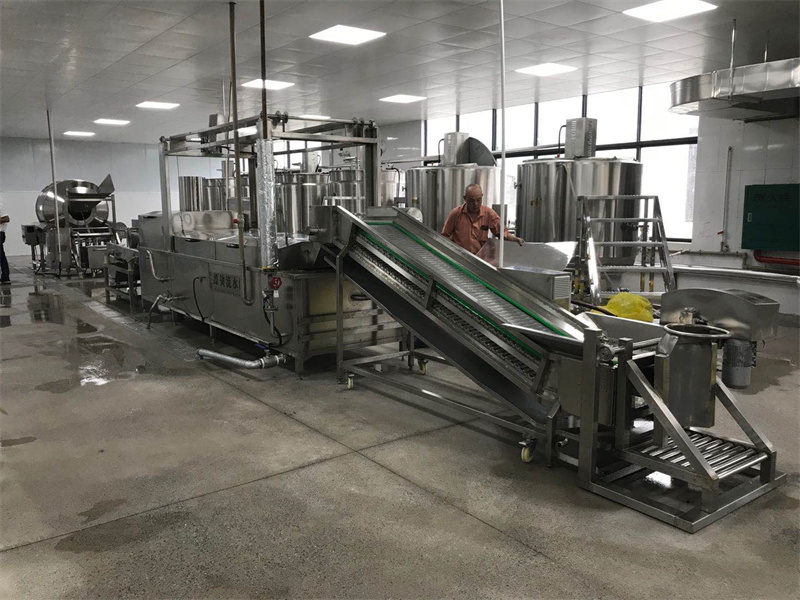 果蔬漂燙線中的提升機