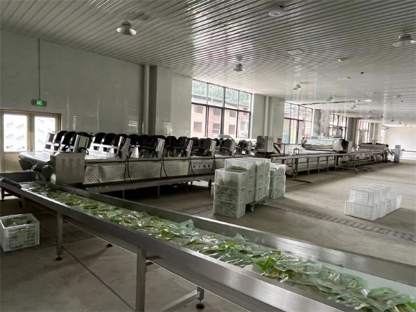 泡椒竹筍巴氏滅菌、冷卻、風(fēng)干流水線