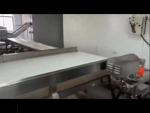 雞鴨副產(chǎn)品（魚(yú)類(lèi)、海產(chǎn)等）解凍清洗蒸煮流水線(xiàn)